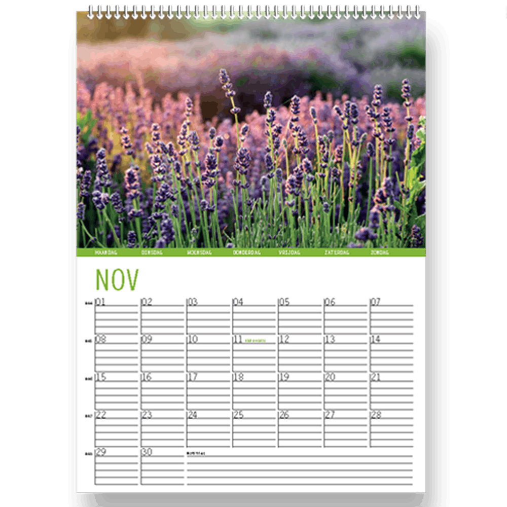 Kalender 2027 bloemen, maand november met foto Lavendel