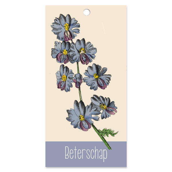 Bloemenkaartjes 'Beterschap' | set van 3 kleine kaartjes