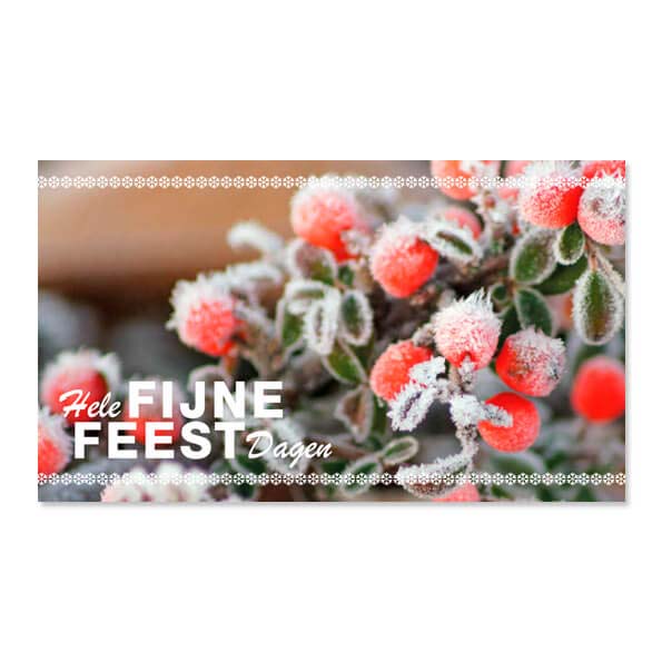 cadeau envelop kerst Besneeuwde takken