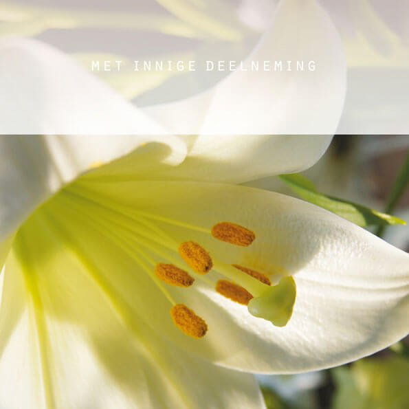 Condoleance kaart bloemen Lelie, met innige deelneming