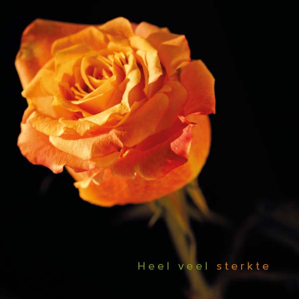 Condoleancekaarten bloemen kopen online