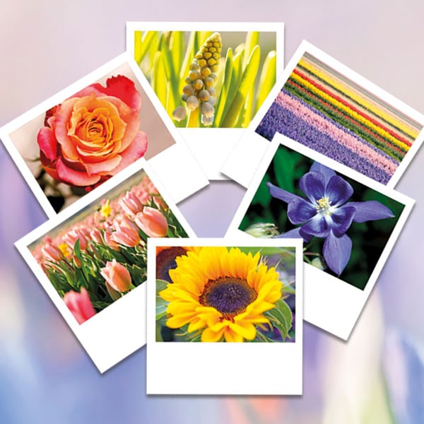 Goedkope postkaarten met bloemen, 6 ex voordeel