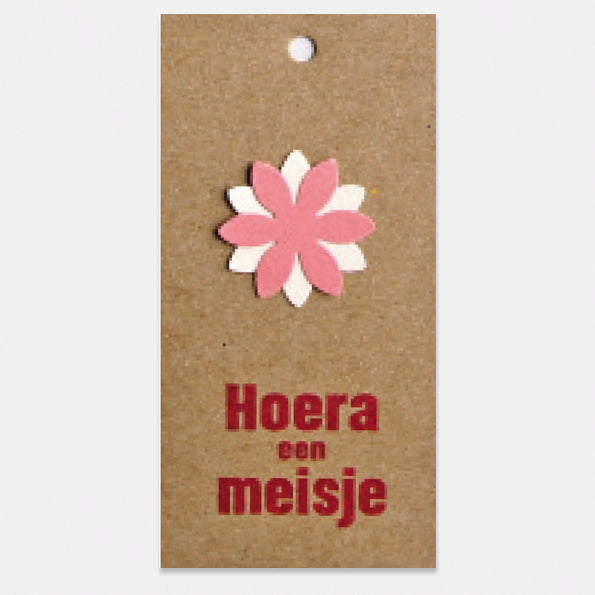 Kado- of bloemkaartje op kraft karton, Hoera een meisje, per stuk. Geboorte meisje