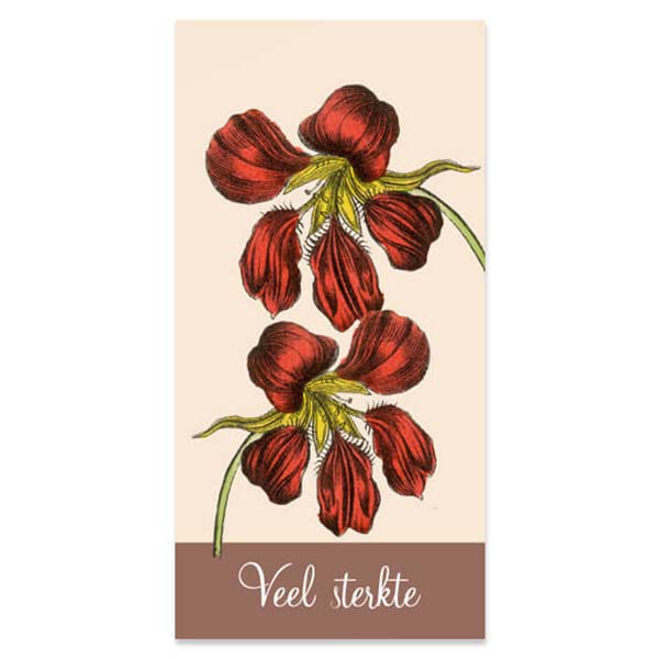 Kadokaartjes bloemen veel sterkte, met gaatje