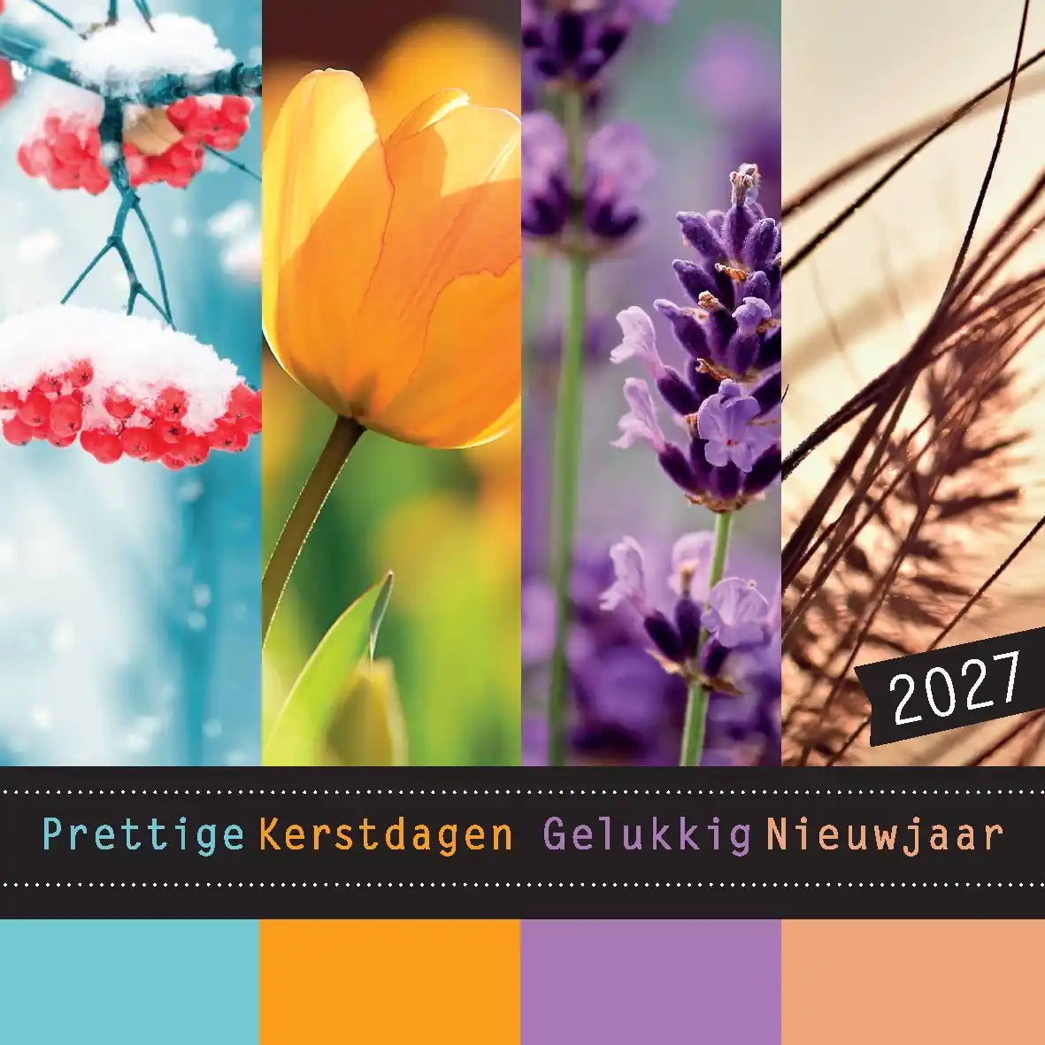 Kerstkaart 2027 natuur foto’s van jaargetijden seizoenen: tulp, lavendel, besneeuwde besjes