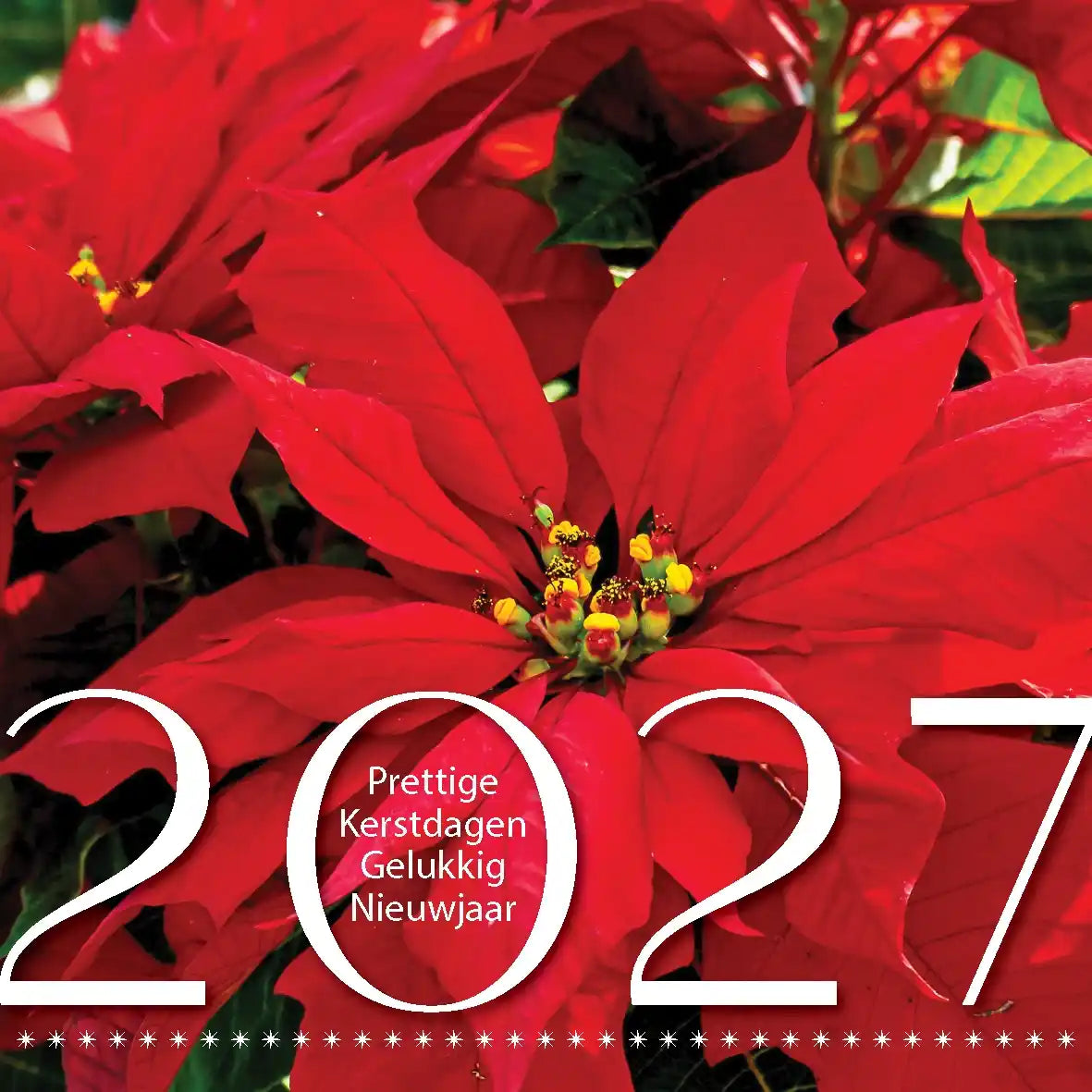 Kerstkaart 2027 rode kerstster bloemen, voor bloemist