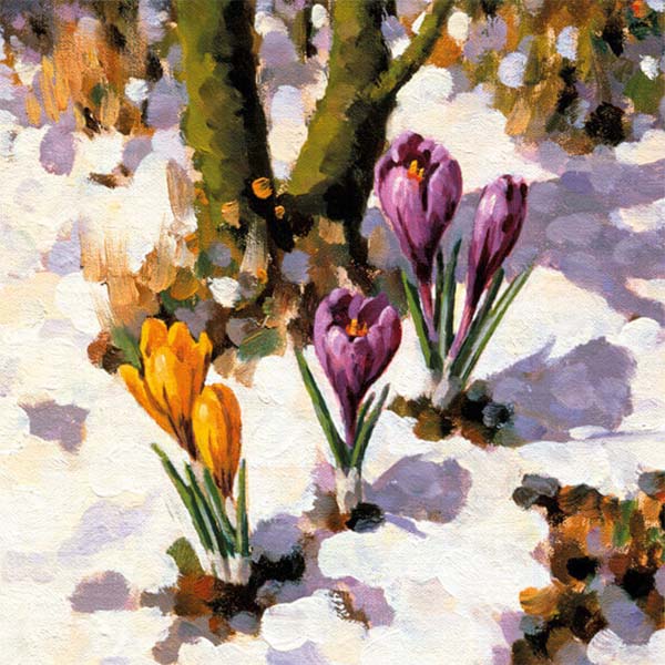 kerstkaarten bloemen sneeuw, kunstenaar Leo van de Ende