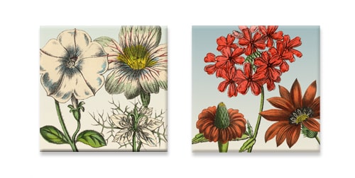 Magneetjes met rood en witte bloemen, 2ex