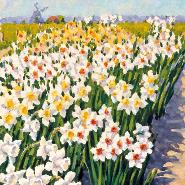 Kunstkaart Narcissen veld van Leo van den Ende