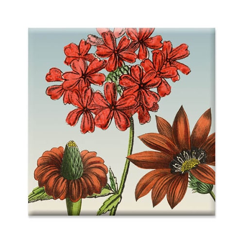 Koelkastmagneetje bloemen rood