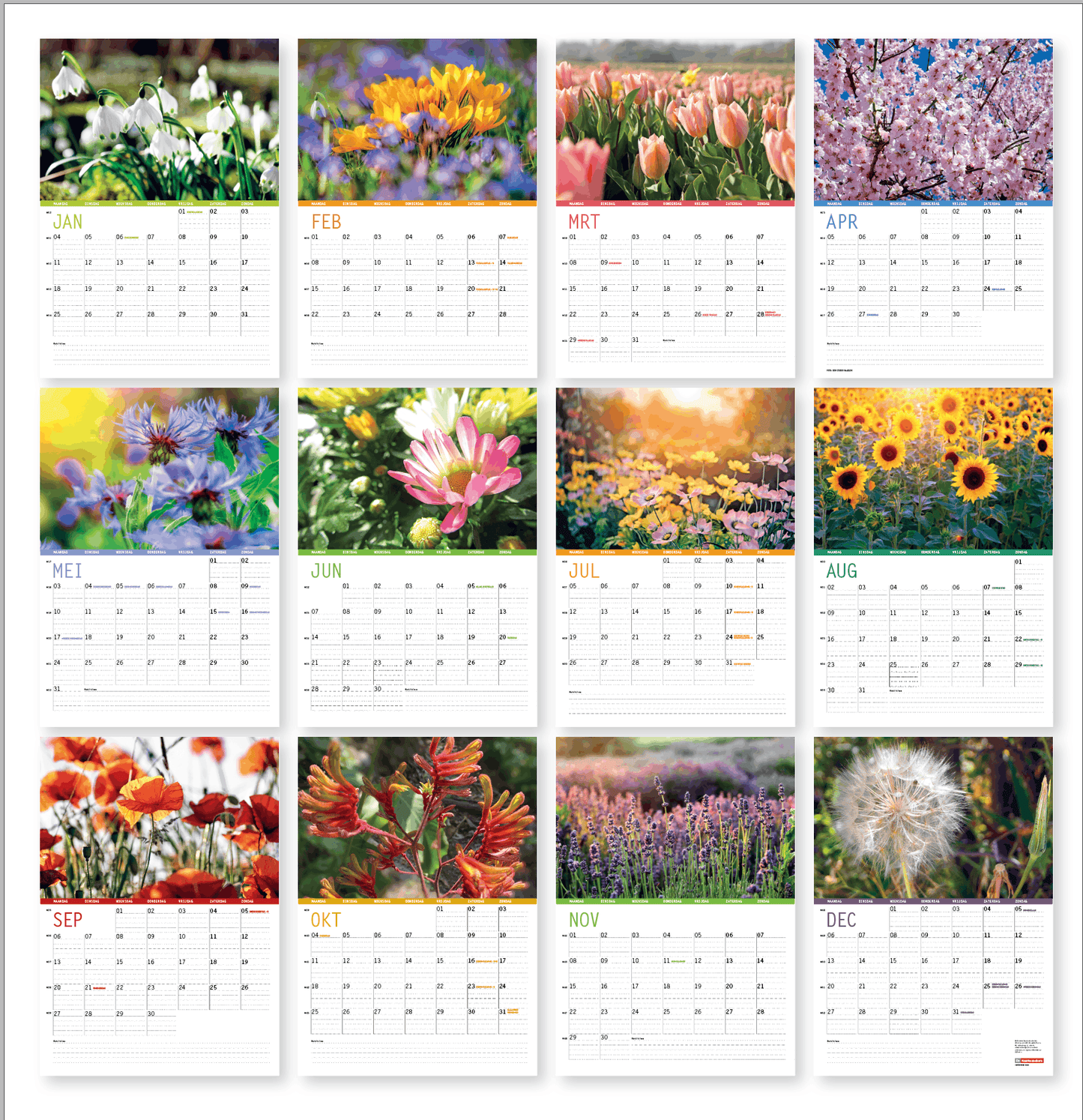 Wandkalender bloemen 2027, overzicht van alle maandbladen