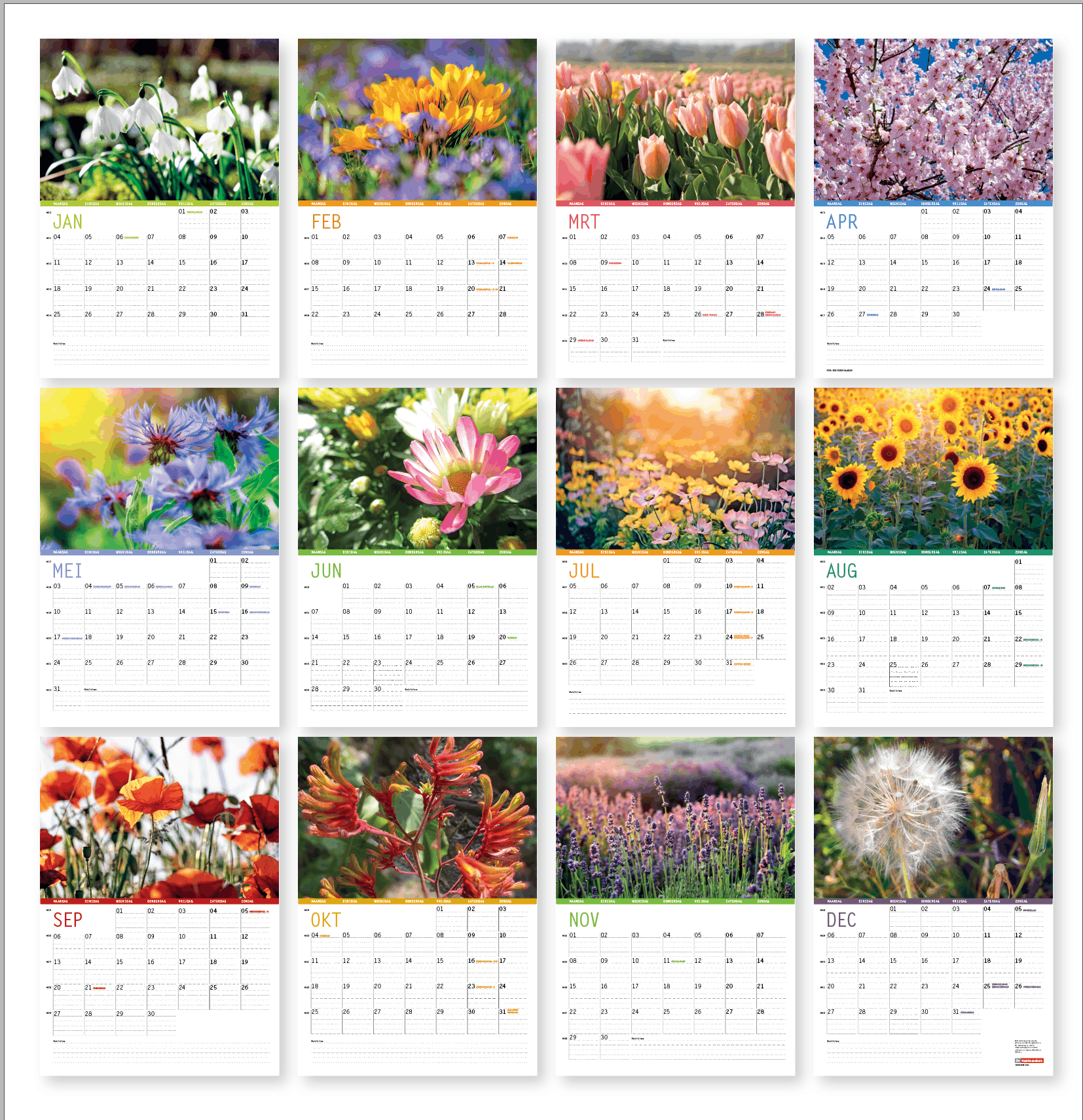 Wandkalender bloemen 2027, overzicht van alle maandbladen