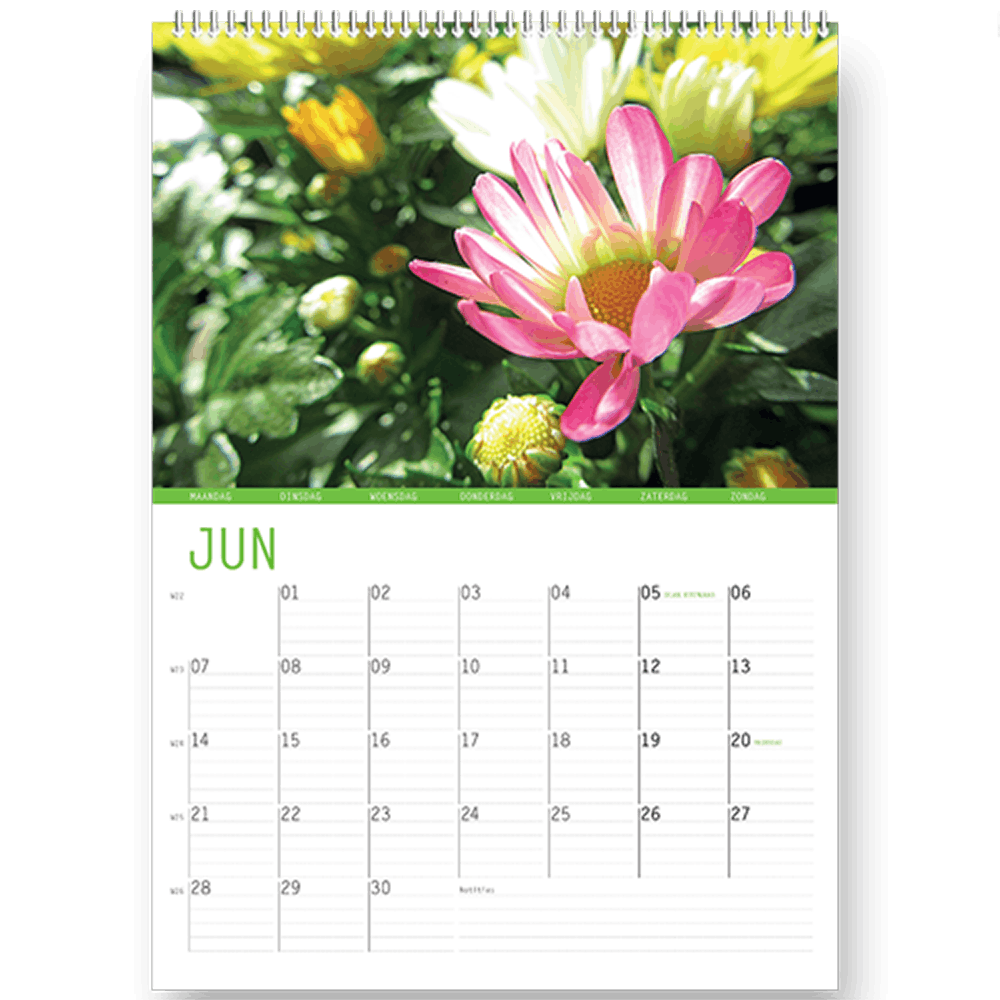 Wandkalender Bloemen, elke maand een mooie bloemen foto