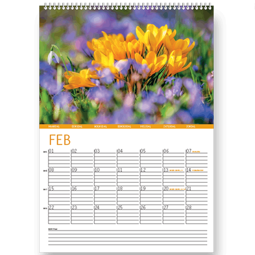 Bloemen kalender 2027, maanblad februari met krokussen