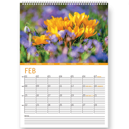 Bloemen kalender 2027, maanblad februari met krokussen