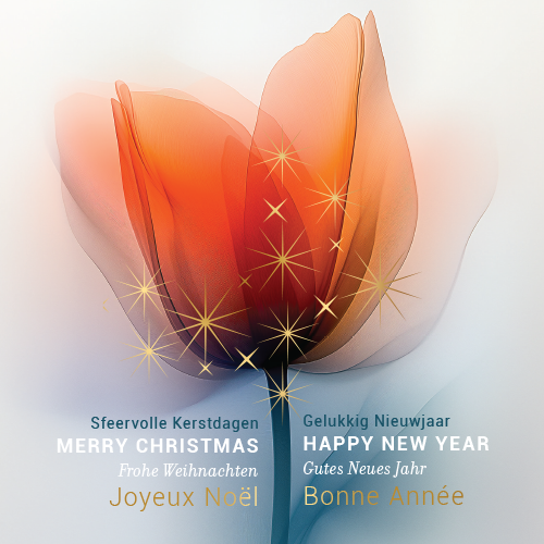 Luxe kerstkaart met Tulp en goud sterretjes. Kerstwens in meerdere talen