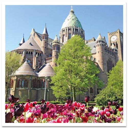 Ansichtkaart Haarlem Kathedrale Basiliek Sint Bavo