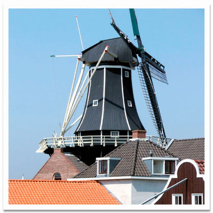 Ansichtkaart Haarlem molen de Adriaan