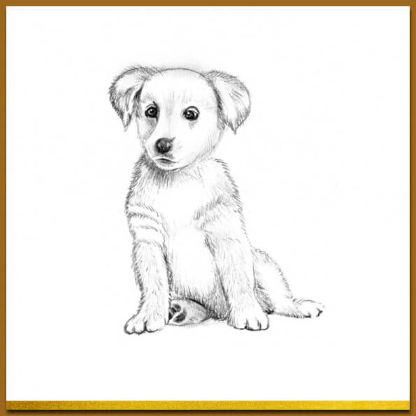 Dierenkaart met puppy, hondje