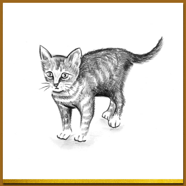 Ansichtkaart in zwart wit met mooie tekening van poesje, kitty