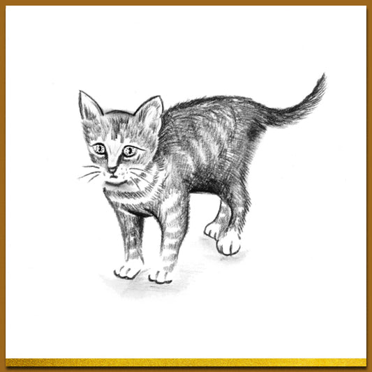 Ansichtkaart in zwart wit met mooie tekening van poesje, kitty
