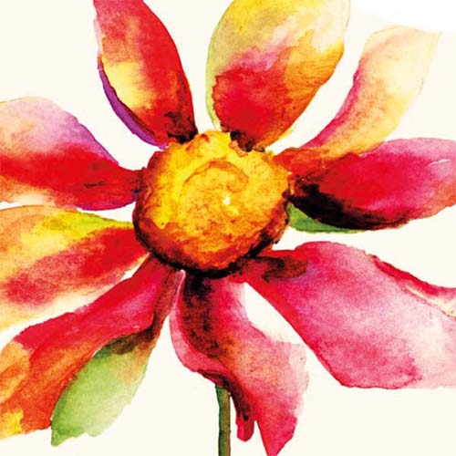bloem kaart grote rode bloem, aquarel
