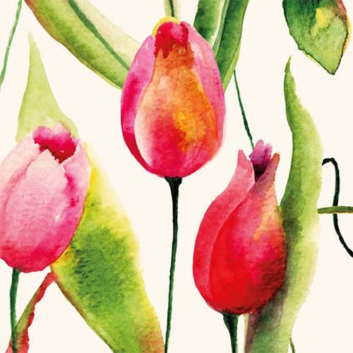 Bloemen kaart rode tulpen, aquarel