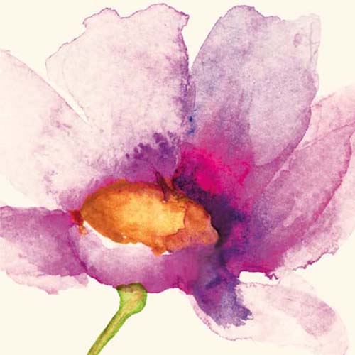 Bloemenkaart roze klaproos aquarel