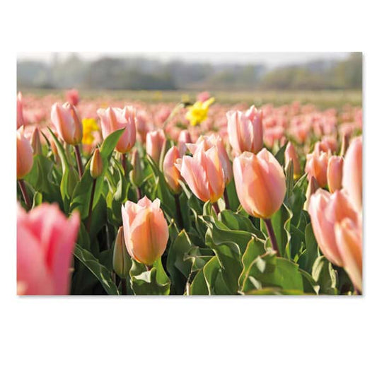 Bloemenkaart Tulpen en narcissen