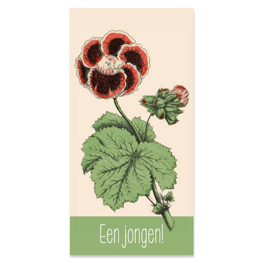 Kado- of bloemenkaartjes geboorte jongen