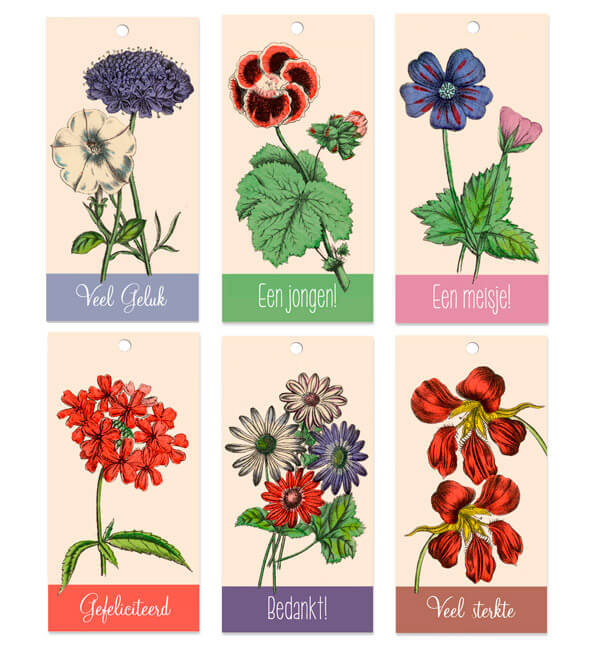 6 verschillende bloem- of kadokaartjes met tekst: gefeliciteerd, veel sterkte, veel geluk, bedankt, een jongen en een meisje