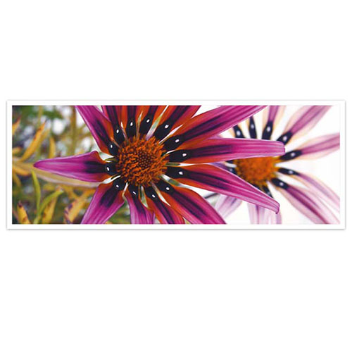 Bloemenkaart tropische bloemenpracht