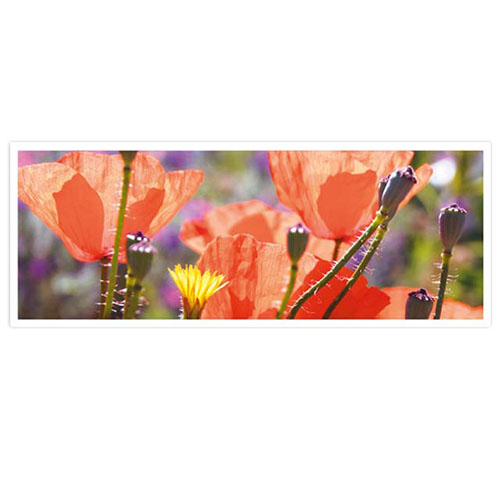 Bloemenkaart Klaprozen en Boterbloem