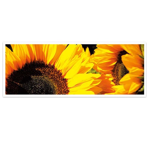 Kaarten met Zonnebloemen