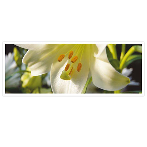 Bloemenkaart met Lelie,  witte Lelies
