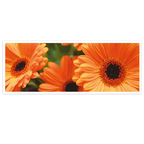 Bloemenkaart oranje gerbera's liggend