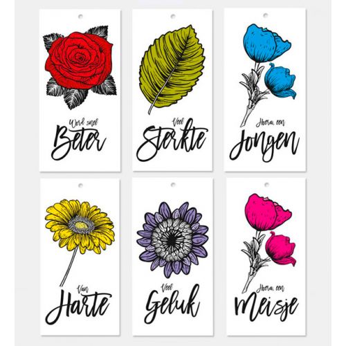 Assorti verpakking van bloemkaartjes Shadows, 6 verschillende onderwerpen.