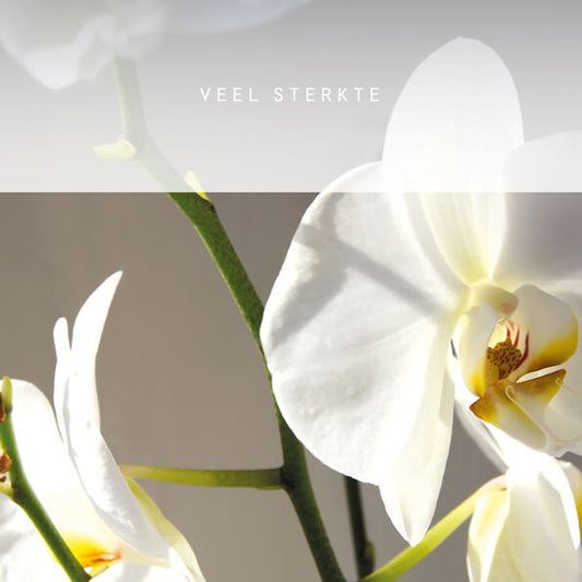 Condoleance kaart bloemen orchidee, veel sterkte