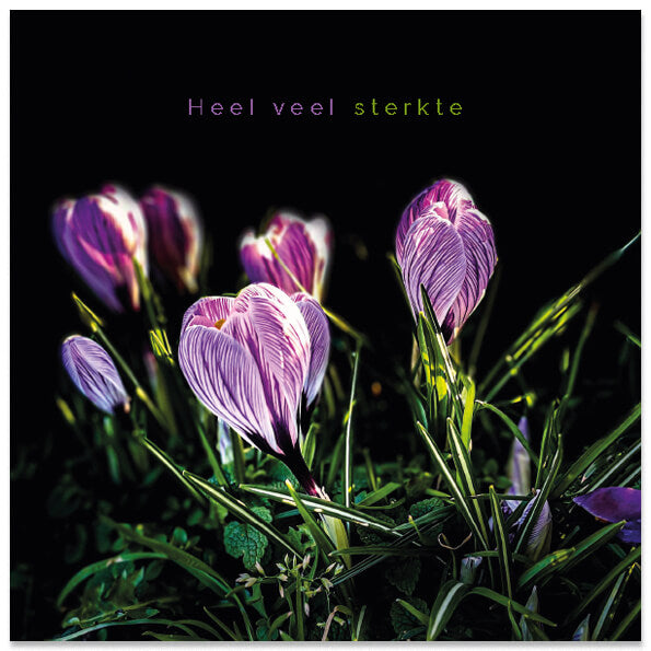 Condoleancekaart sfeervolle bloemen krokussen