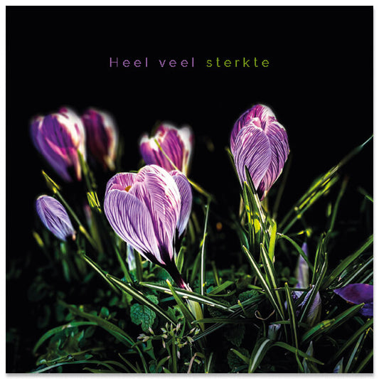 Condoleancekaart sfeervolle bloemen krokussen
