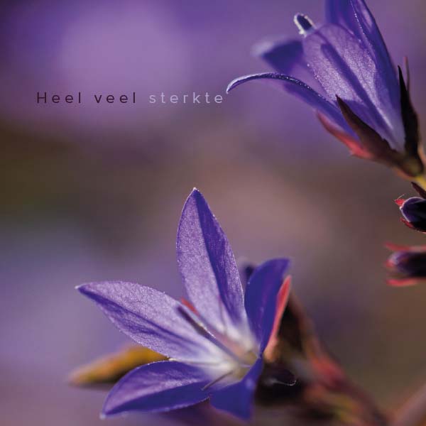 Condoleancekaart bloemen kopen online
