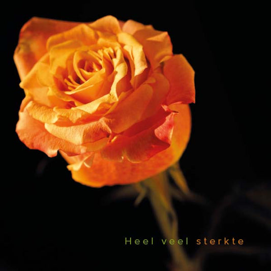 Condoleancekaarten bloemen kopen online