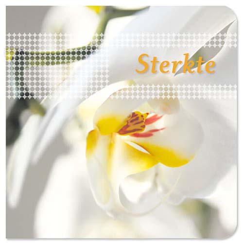 Condelancekaart Orchidee en sterkte