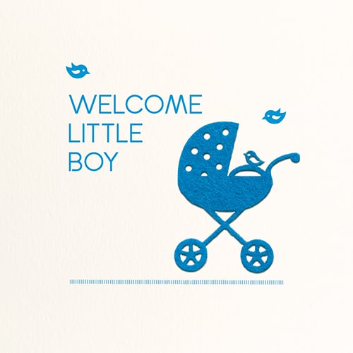 Felicitatiekaartjes geboorte zoon met kinderwagen van vilt