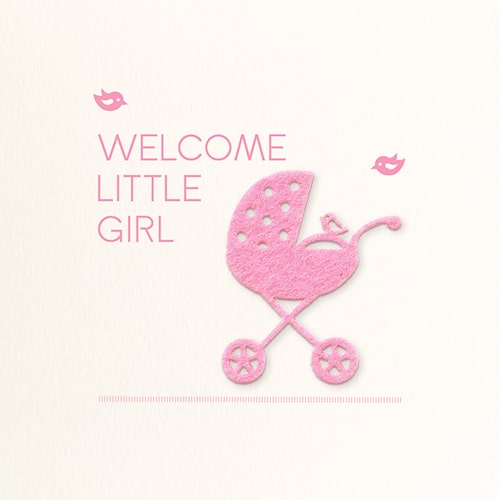 Felicitatiekaartje geboorte meisje kinderwagen vilt roze