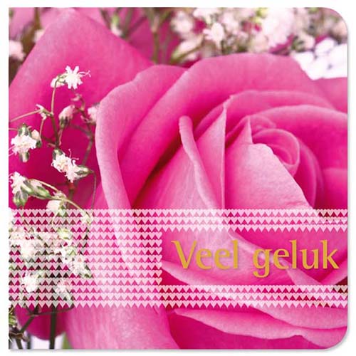 Felicitatiekaart trouwen huwelijk roze roos