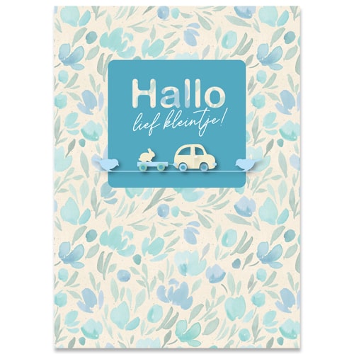 Felicitatiekaartje Hallo Lief kleintje, jongetje, zoon, ventje. Met konijn en autootje