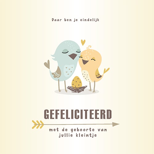 Felicitatiekaartje geboorte baby kindje