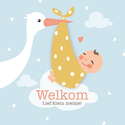 Felicitatiekaartje geboorte kindje, ooievaar en wolkjes, hartjes