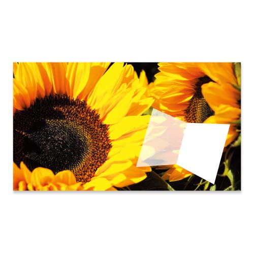 Geld envelop Zonnebloemen
